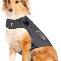 Thunder Anxiety Dog Jacket Over Excitement Shirt (L(41-64lbs)) - BESTMASCOTA.COM