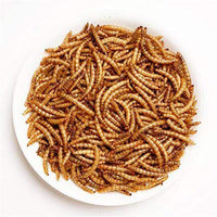 Amzey Dried Mealworms 11 LBS - 100% Natural for Chicken Feed, Bird Food, Fish Food, Turtle Food, Duck Food, Reptile Food, Non-GMO, No Preservatives, High Protein and Nutrition - BESTMASCOTA.COM