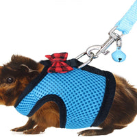 Arnés y correa de RYPET con diseño de cobaya, malla suave, arnés pequeño para mascotas con campana segura, chaleco acolchado sin tirones para cobayas, hurones, chinchchilla y animales pequeños similares - BESTMASCOTA.COM
