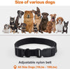 Petronics Collar de choque para perros, collar de entrenamiento de perro con mando a distancia, collar de corteza recargable para perros grandes, medianos y pequeños, collar E con estático, vibración, pitido y luz, 330 yardas, para 2 perros - BESTMASCOTA.COM