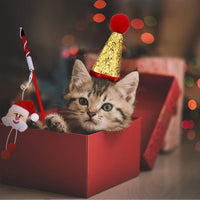 Gejoy - Juego de 12 juguetes de Navidad para gatos, incluye bolsa de cordón de Navidad, collar de gato, bola arrugada, caramelo, juguete giratorio rojo, árbol de Navidad de felpa, caña de gato - BESTMASCOTA.COM