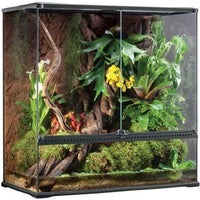 Exo Terra - Terrario de cristal - BESTMASCOTA.COM