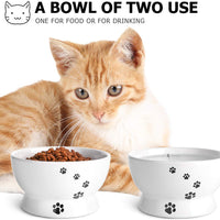 Y YHY cuenco de agua de cerámica para gatos, cuencos de comida para gatos de 5 pulgadas, protege la espina del gato, libre de estrés, prevención de reflujo, regalo para gato, color blanco - BESTMASCOTA.COM