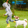 petrainer PET998DRB2 Collar de entrenamiento recargable para perro, impermeable, mando a distancia de alcance 330 yardas, collar de choques, vibra y choque electrónico - BESTMASCOTA.COM
