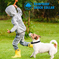 petrainer PET998DRB2 Collar de entrenamiento recargable para perro, impermeable, mando a distancia de alcance 330 yardas, collar de choques, vibra y choque electrónico - BESTMASCOTA.COM