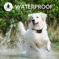 FRiEQ Collar de entrenamiento para perro, mando a distancia, resistente al agua, recargable con tono/vibración/modos de choque eléctrico para perros pequeños, medianos y grandes - BESTMASCOTA.COM