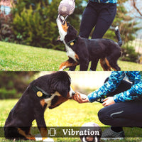 Peteme Dog Training Shock Collar Rechargeable with Beep/Vibra/Electric Shock,100% Waterproof, 1200 ft Remote Trainer Range Collar for Small Medium Large Dogs. - BESTMASCOTA.COM