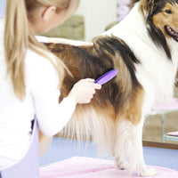 Pincel de cerdas por hertzko – para perros y gatos con larga o de pelo corto – densa cerdas quitar el vello Loose, dander, polvo y suciedad de su Mascota de parte superior Coat - BESTMASCOTA.COM
