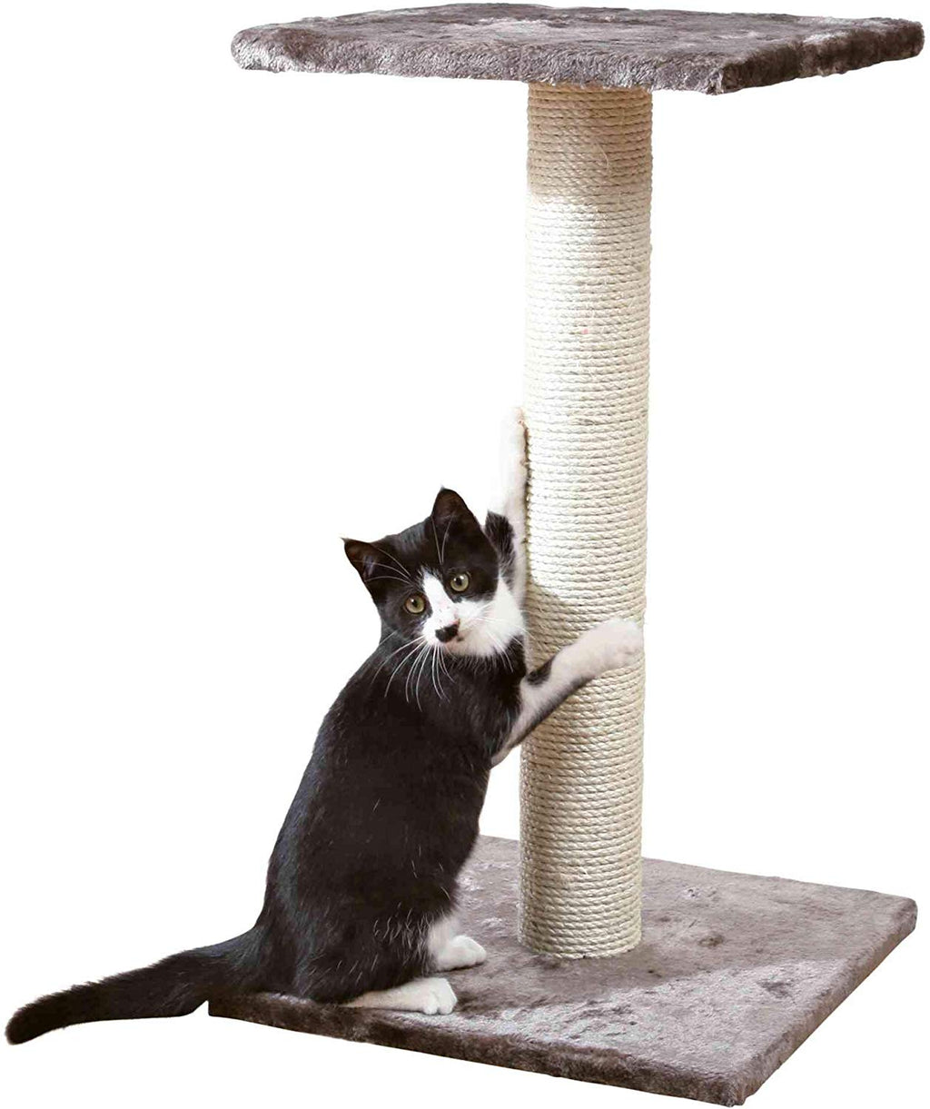 Trixie Pet Espejo Scratching Post - BESTMASCOTA.COM