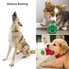 Nocciola - Juguetes de peluche, 12 unidades, para perros pequeños, medianos, juguetes para mascotas, juguetes chirriantes, juegos de peluche, bolsa de transporte - BESTMASCOTA.COM
