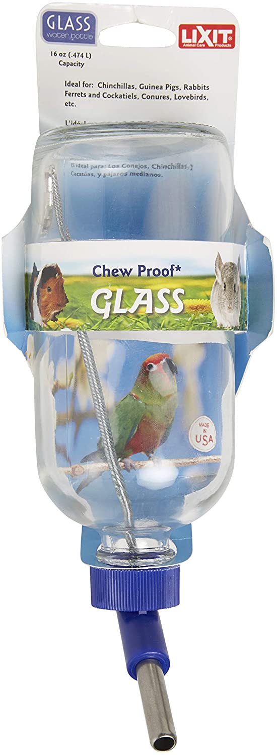Lixit - Botella de agua de cristal - BESTMASCOTA.COM