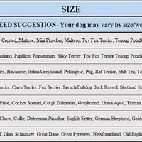 Pawz Botas para perros, impermeables, XS, Anaranjado - BESTMASCOTA.COM