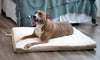 Paws & Pals Cama ortopédica de espuma para mascotas perros y gatos, suave cojín acolchado, alfombrilla rectangular encaja en la cama, jaula o transportadora, varios tamaños, XL, Beige - BESTMASCOTA.COM