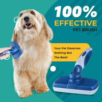 sugarpaw mascota cepillo para polvo de aseo para perros, gatos y cachorro pelo – -Mejor – impermeable Auto Limpieza Cepillos – profesional de deshedding herramienta pin cepillo para polvo de alambre para un aspecto limpio, sano y chamarra de hermosa - BESTMASCOTA.COM