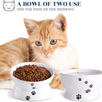 Y YHY - Cuenco de cerámica para comida de gato, diseño inclinado, ángulo de inclinación para proteger la columna vertebral del gato, sin estrés, prevención de reflujo, regalo para gato, color blanco - BESTMASCOTA.COM
