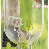 Lixit Chew Proof Glass Water Bottles for Small Animals - BESTMASCOTA.COM