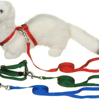 petco Deluxe Ferret Arnés & Lead Set, Adjustable, Variados - BESTMASCOTA.COM