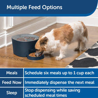PetSafe - Comedero automático de seis comidas para mascotas, dispensa comida para gatos y perros, reloj digital con pilas y pantalla LCD - BESTMASCOTA.COM