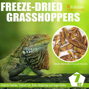 Freeze – Mascota seca para gallinas, patos, aves silvestres, lagarto, tortugas, hámsters, pescado, camaleón y erizos - BESTMASCOTA.COM