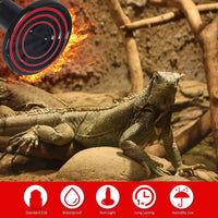 Aomryom 150W 2 Pack de Emisor de calor de cerámica infrarroja Reptile lámpara de calor – No se emite luz sin daño lámpara de calentador para Lizard Snake Coop Pollo Tortuga Acuario Pet Brooder – Fuente de calor 24 horas – Negro - BESTMASCOTA.COM