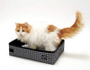 necoichi portátil Gato Jaula y Litter Box Set - BESTMASCOTA.COM