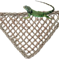 Seaweed - Hamaca de malla con diseño de lagarto, juguete para mascotas, tumbona para reptiles, cama colgante para pequeñas anoles de animales, dragones barbudos, geckos, iguanas, ermitaño, cangrejos, accesorios para reptiles. - BESTMASCOTA.COM