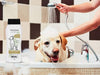 Wahl Champú para perros para alivio de picazón y piel seca, fórmula de avena con verbena de coco y ingredientes 100% naturales, 24 onzas - BESTMASCOTA.COM