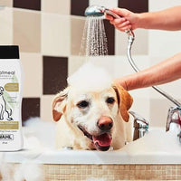 Wahl Champú para perros para alivio de picazón y piel seca, fórmula de avena con verbena de coco y ingredientes 100% naturales, 24 onzas - BESTMASCOTA.COM