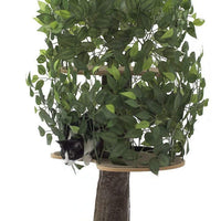 On2Pets Cat Condo Muebles - BESTMASCOTA.COM