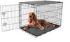 Carlson Pet Products - Caja de metal para perro con una sola puerta plegable y segura - BESTMASCOTA.COM