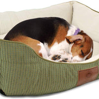 American Kennel Club - BESTMASCOTA.COM