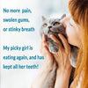 Oral Health for Cats Dental Treatment - Natural Stomatitis and Gingivitis Solution is Highly Effective for Feline Mouth Issues Including Tartar and Inflammed Gums - Easy to Use (450 pills) - BESTMASCOTA.COM