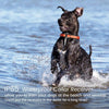 FunniPets Collar de entrenamiento para perro con mando a distancia, resistente al agua, cuello de choque para perros de raza mediana y grande con 4 modos de entrenamiento, ligero, vibración - BESTMASCOTA.COM