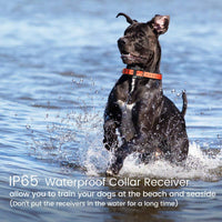FunniPets Collar de entrenamiento para perro con mando a distancia, resistente al agua, cuello de choque para perros de raza mediana y grande con 4 modos de entrenamiento, ligero, vibración - BESTMASCOTA.COM