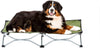 Carlson Pet Products - Cama portátil para mascotas, color verde - BESTMASCOTA.COM