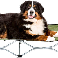 Carlson Pet Products - Cama portátil para mascotas, color verde - BESTMASCOTA.COM