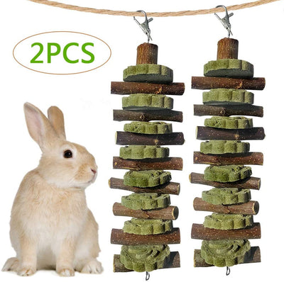 Juguetes para masticar conejos para moler dientes, Chinchilla Treats palos de bambú orgánico ramas de madera de manzana natural para conejos, cobayas, hámsters (2 unidades), Verde - BESTMASCOTA.COM