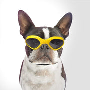 Namsan - Gafas de sol para mascotas, perros y cachorros, protección contra rayos UV, impermeables - BESTMASCOTA.COM