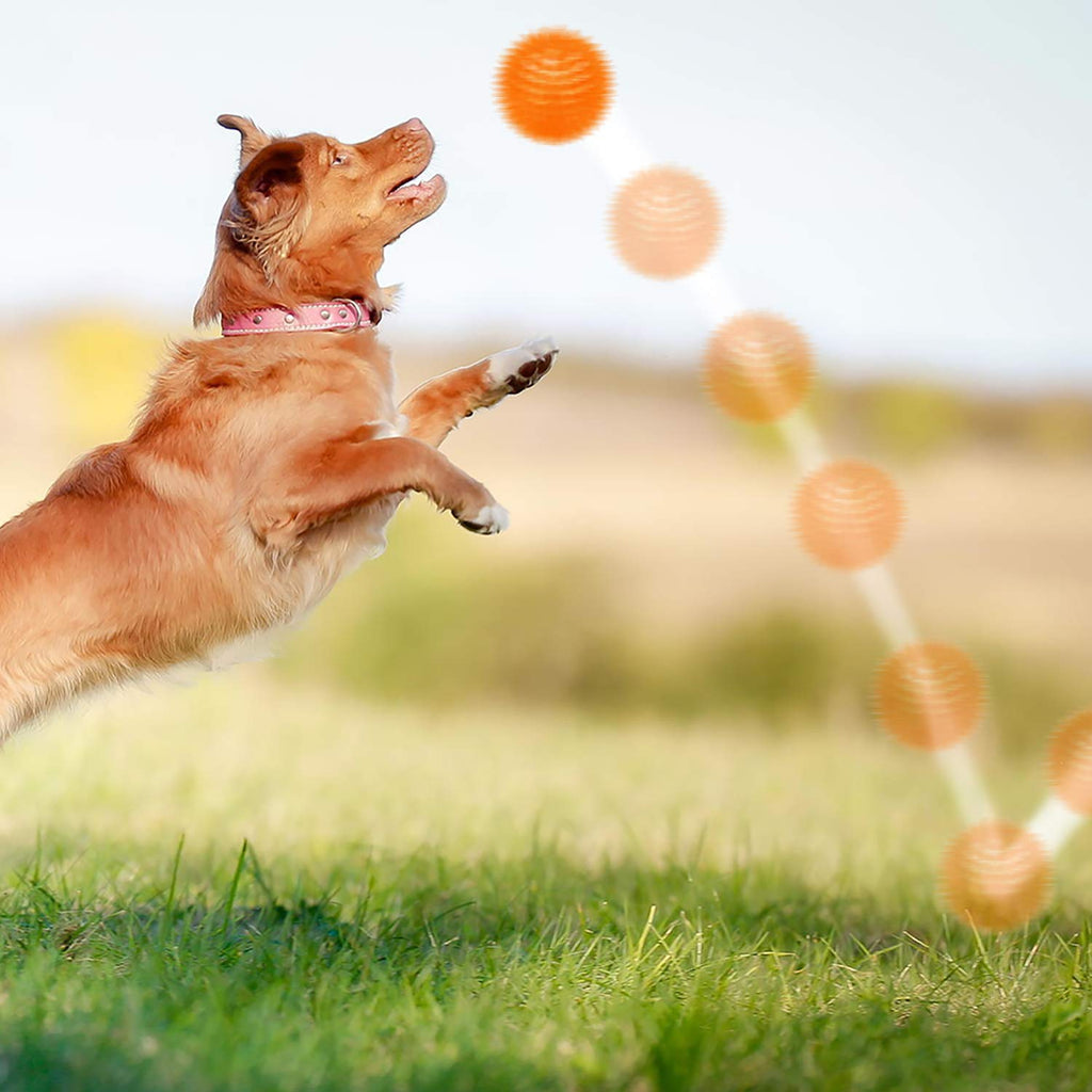 Juguete interactivo lanzador de pelotas para perros, lanzador de pelotas de  mano para perros, lanzador de pelotas de tenis para perros, lanzador de  pelotas de mano para perros, lograr más