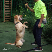DoggyDobby - Bolsa de entrenamiento para perros con dispensador de bolsa de caca (3 maneras de usar), cinturón ajustable y correa para el hombro - BESTMASCOTA.COM