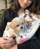 Critter Cuddler Small Animal Carrier and Bonding Pouch Anti-Anxiety Interactive Play Exercise Ring Therapeutic for Pet & Handler Small Dog Cat Hedgehog Puppy Travel Sling - Made in USA (OWL) - BESTMASCOTA.COM