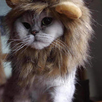 Lion Mane peluca para Cat Costume - BESTMASCOTA.COM