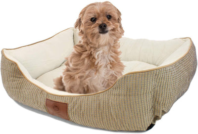 American Kennel Club - BESTMASCOTA.COM