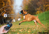 Mockins - Collar para perros con vibración de pitido y control remoto electrónico 100% resistente a la lluvia – Collar de distancia de 990 pies para perros ... - BESTMASCOTA.COM