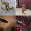 Laifoo USB recargable gato juguetes interactivo LED luz puntero para gatos de la captura de la desgarro entrenamiento - BESTMASCOTA.COM