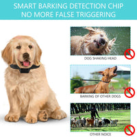 Collar de corteza de citronela KATUR, [2019 más reciente] collar de entrenamiento con rociador de corteza de perro impermeable, recargable, sensibilidad ajustable y volumen de spray para perros pequeños, medianos y grandes - BESTMASCOTA.COM