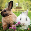 trucare Z/M parte superior-dress Trace mezcla de minerales para multi-species: Cerdos, oveja, Llamas, conejos, Aves de corral (Zinc, Manganeso) - BESTMASCOTA.COM