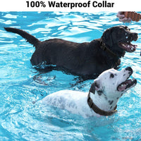 Collar de choque para perros, IPX7, resistente al agua, con mando a distancia, IPX5, 3000 pies, para entrenamiento de perro, efecto de entrenamiento rápido para perros pequeños, medianos y grandes - BESTMASCOTA.COM