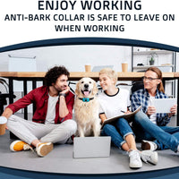 Collar antiladridos PawPets – sin choque para perro – Humane con vibración y sonido ladrido collar para perros pequeños, medianos y grandes, de 5 – 110 libras – paquete de 2 – ideal como regalo - BESTMASCOTA.COM