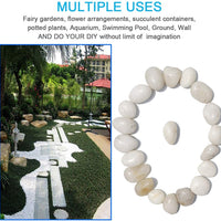 M--saltar 2 libras 1" – 2" grava tamaño natural piedras decorativas blanco pulido guijarros uso en cristalería, como jarrones, acuarios y terrarios para mejorar la apariencia - BESTMASCOTA.COM